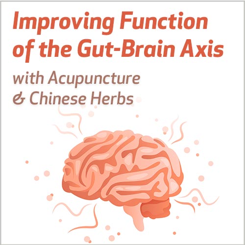 Improving Function of the Gut-Brain Axis with Acupuncture & Chinese Herbs