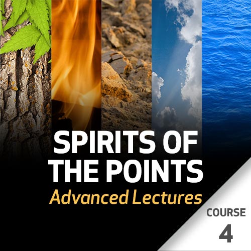 Spirits of the Points: Advanced Lectures - Course 4