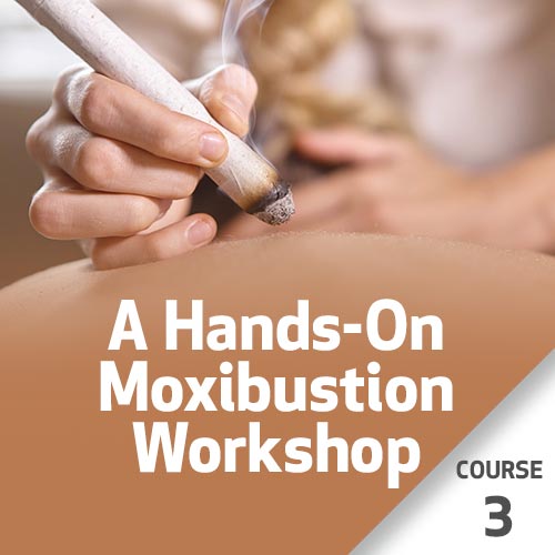 A Hands-On Moxibustion Workshop - Course 3