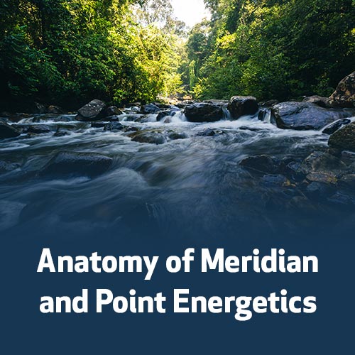 Anatomy of Meridian and Point Energetics