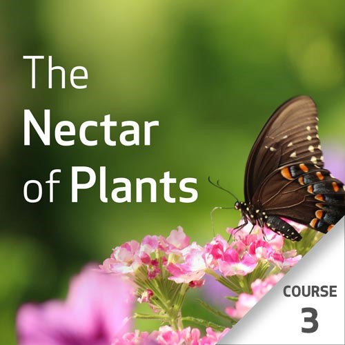The Nectar of Plants: Essential Oils and Chinese Medicine Series - Course 3