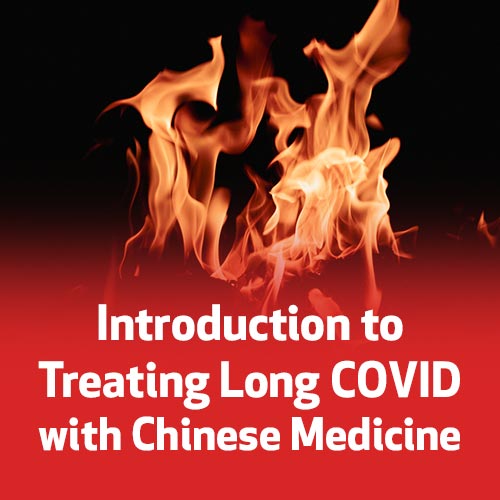 An Introduction to Treating Long COVID with Chinese Medicine