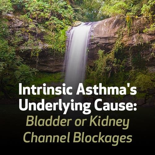 Intrinsic Asthma's Underlying Cause: Bladder or Kidney Channel Blockages
