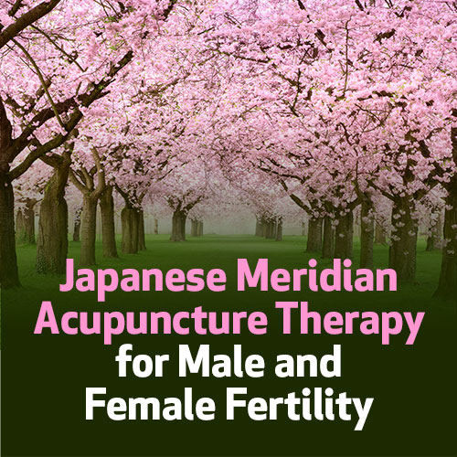 Japanese Meridian Acupuncture Therapy for Male and Female Fertility