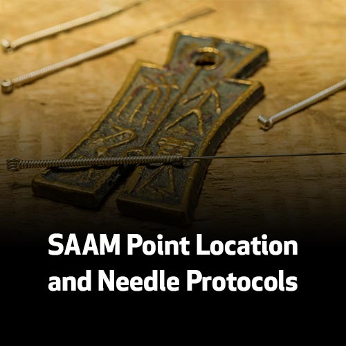 SAAM Point Location and Needle Protocols