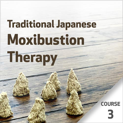 Traditional Japanese Moxibustion (Okyu) Therapy - Course 3