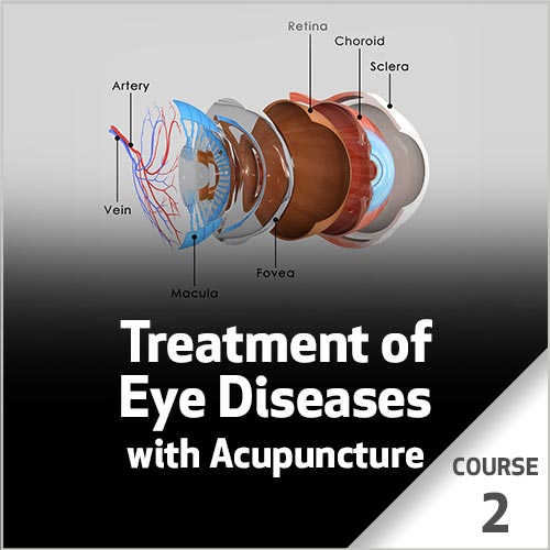 Treatment of Eye Diseases with Acupuncture - Course 2