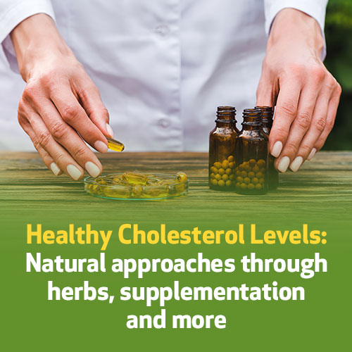 Healthy Cholesterol Levels: Natural Approaches Through Herbs, Supplementation and more
