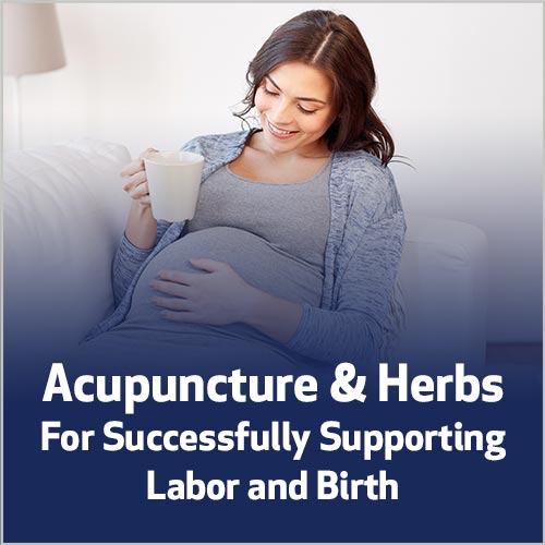 Acupuncture & Herbs For Successfully Supporting Labor and Birth