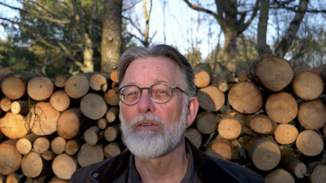 Qing Ming; Clear and Bright