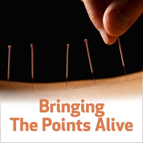 Bringing The Points Alive