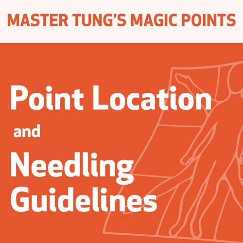 Master Tung's Magic Points: Point Location and Needling Guidelines Series