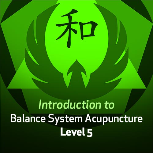 Introduction to Balance System Acupuncture - Level 5