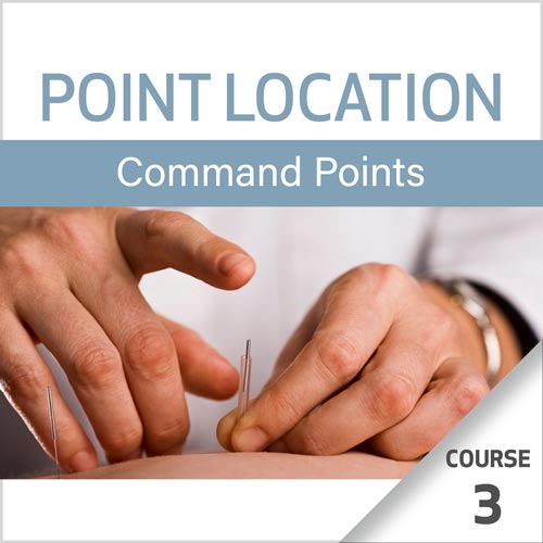 Point Location Series: Command Points - Course 3