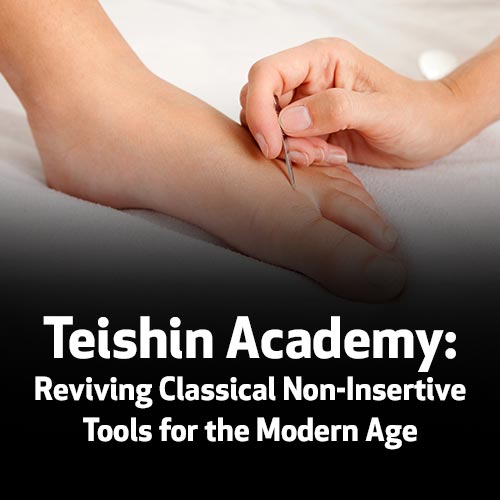 Teishin Academy: Reviving Classical Non-Insertive Tools for the Modern Age