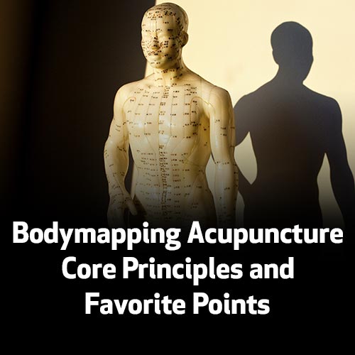 Bodymapping Acupuncture - Core Principles and Favorite Points