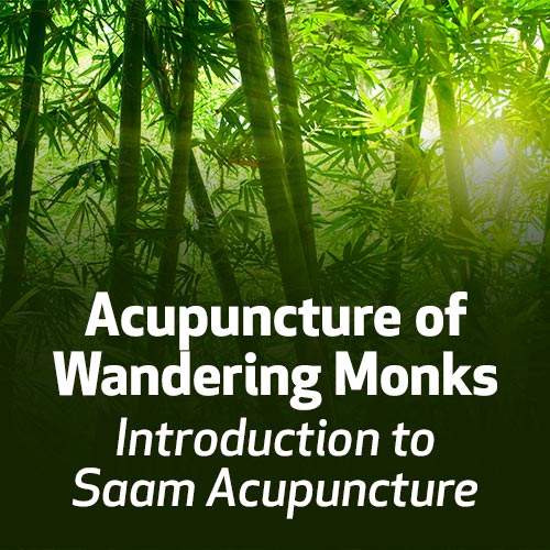 Acupuncture of Wandering Monks: Introduction to Saam Acupuncture