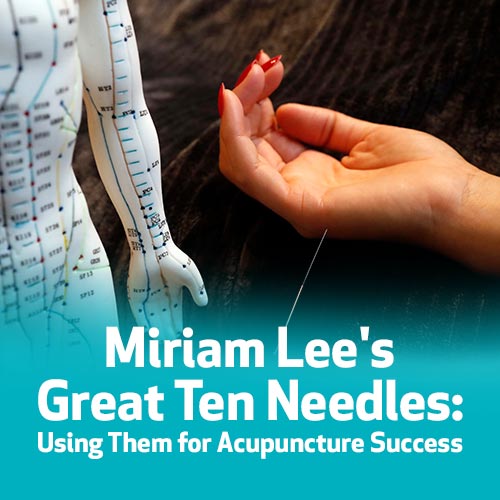 Miriam Lee's Great Ten Needles: Using Them for Acupuncture Success