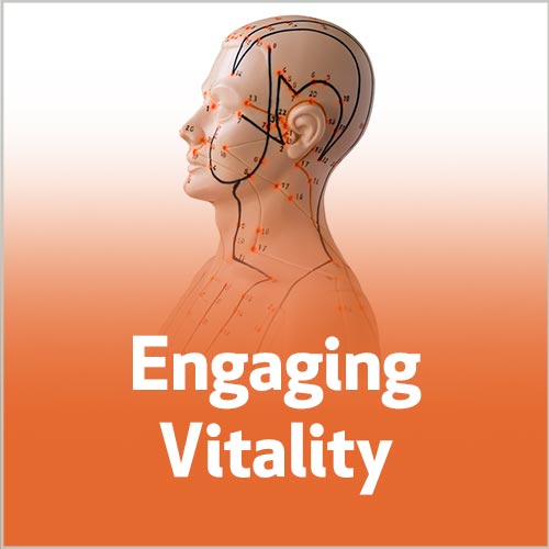 Engaging Vitality