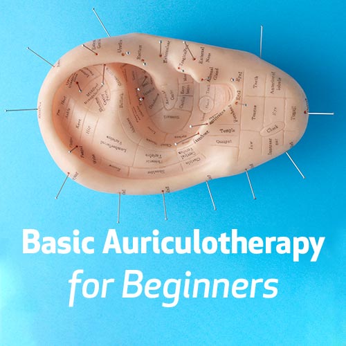 Basic Auriculotherapy for Beginners