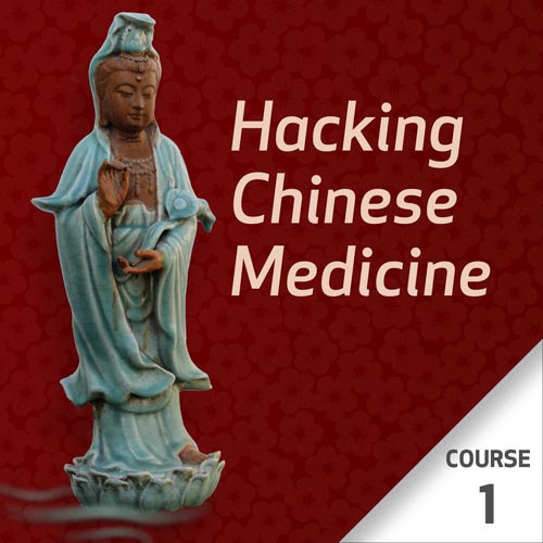 Hacking Chinese Medicine - Course 1