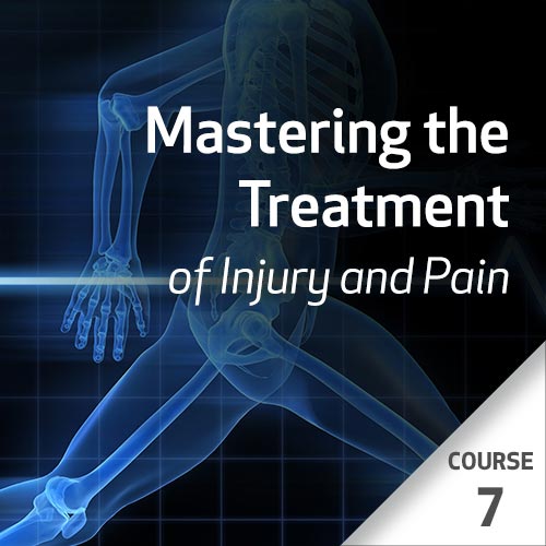 Mastering the Treatment of Injury and Pain Series - Course 7