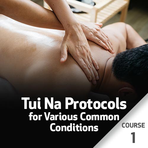 Tui Na Protocols for Various Common Conditions - Course 1