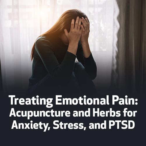 Treating Emotional Pain: Acupuncture and Herbs for Anxiety, Stress, and PTSD