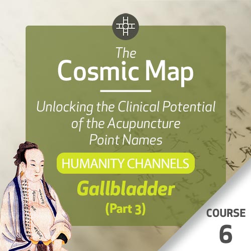 The Cosmic Map: Unlocking the Clinical Potential of the Acupuncture Point Names, Part 3: Humanity Channels - Course 6