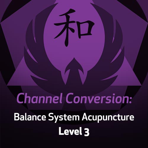 Channel Conversion: Balance System Acupuncture - Level 3