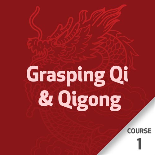 Grasping Qi & Qigong Series - Course 1