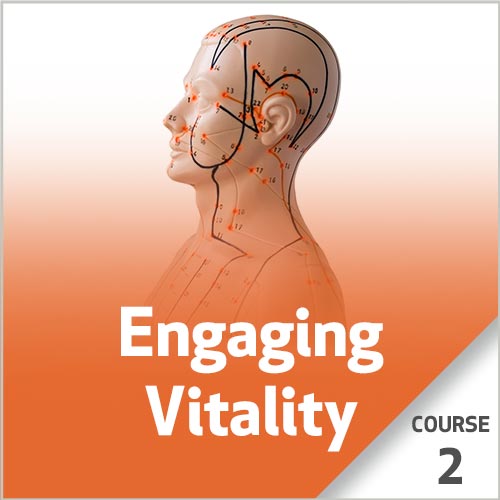 Engaging Vitality - Course 2