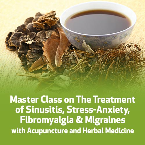 Master Class on The Treatment of Sinusitis, Stress-Anxiety, Fibromyalgia & Migraines with Acupuncture and Herbal Medicine