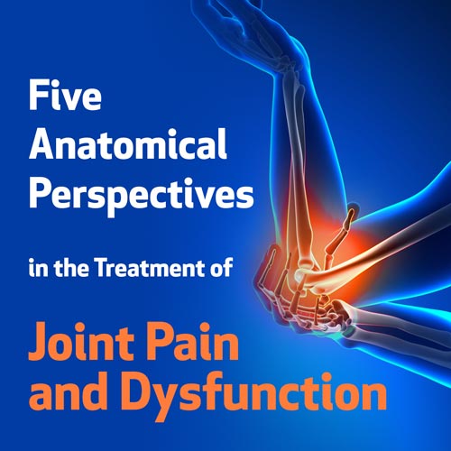 Five Anatomical Perspectives in the Treatment of Joint Pain and Dysfunction