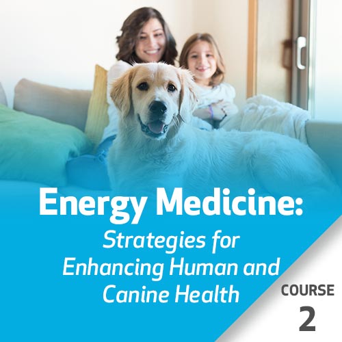Energy Medicine: Five Element Strategies for Enhancing Human and Canine Health - Course 2